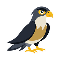 Illustration of Peregrine falcon cartoon on white
