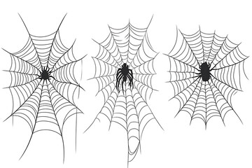 Obraz premium Set of spider web, Halloween cobweb, frames and borders, scary elements for decoration. 