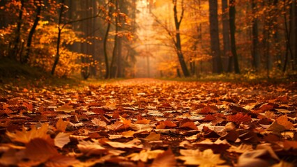 crisp fallen leaves covering a forest path