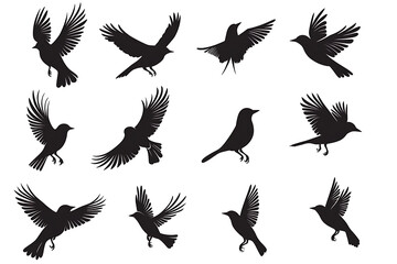 Obraz premium silhouettes of different birds in flight, silhouettes birds on white background.
