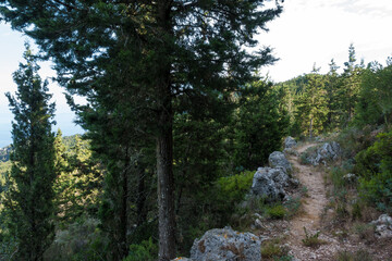 Beautiful path in the forest in Othonoi island, Greece, perfect for long walks