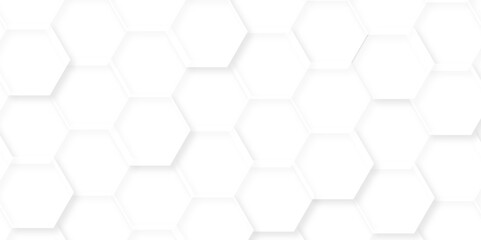Abstract background with hexagon, modern abstract vector polygonal pattern. Futuristic abstract honeycomb technology white background. Luxury white hexagon pattern.
