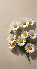 Obraz premium bouquet of daisies