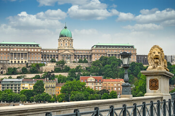 Lion sculptures of the Chain Bridge with the view of  Royal palace of Buda in  Budapest, Hungary