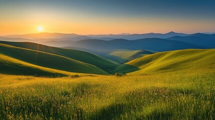 Fototapeta premium The Carpathian hills at dawn, with grass-covered slopes glowing in the first light of the day, under a clear sky.