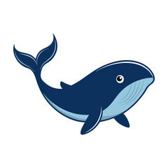 Fototapeta premium Vector cartoon illustrations of fin whale on a white background.