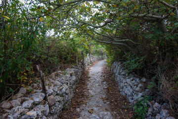 Beautiful path in the forest in Othonoi island, Greece, perfect for long walks