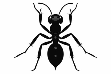 Vector illustration of a ant on white background