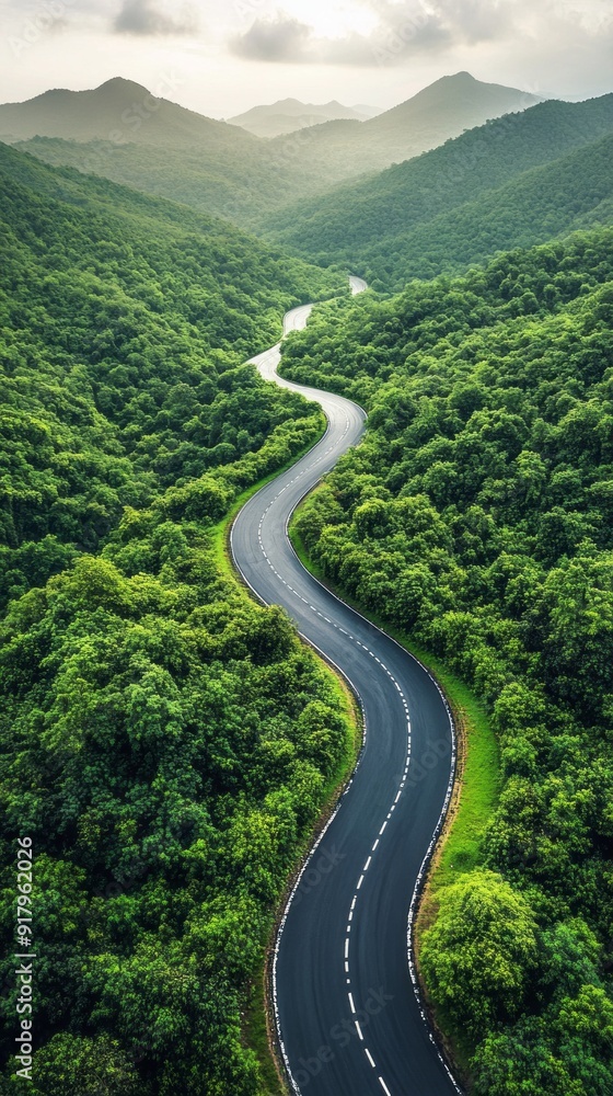 Poster a winding road through a forest with trees on both sides