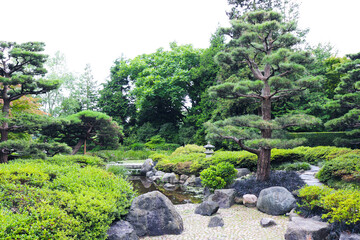 summer landscape. corner of the Japanese garden in the summer park