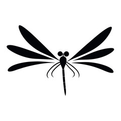 vector illustrations of dragonfly on white background