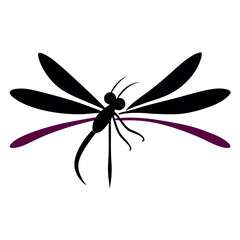 vector illustrations of dragonfly on white background