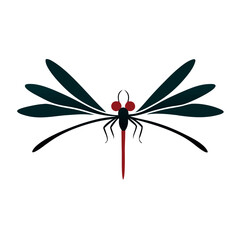 vector illustrations of dragonfly on white background