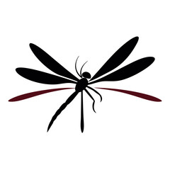 vector illustrations of dragonfly on white background