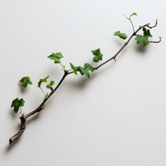 I Am the Vine, You Are the Branches: Symbolic Art of Life, Connection, and the Bond in Christian Inspirational Projects as Depicted in John 15:5.