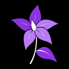 flower on black background