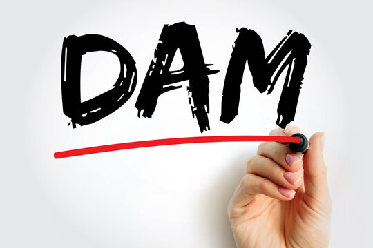 DAM Digital Asset Management - business process and an information management technology, acronym text concept background