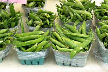 Close up and textures of Freshly harvested organic Okanagan Peas at Trout Lake Farmer's Market in British Columbia