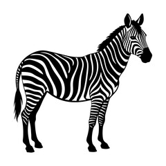 Obraz premium Zebra illustration vector