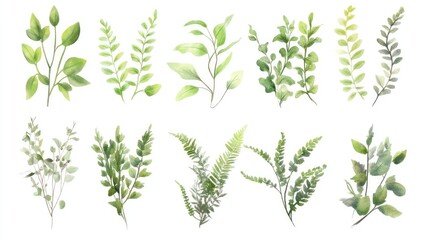 Obraz premium A set of beautifully designed natural foliage, with a cute and decorative touch, ideal for botanical and nature-themed projects.