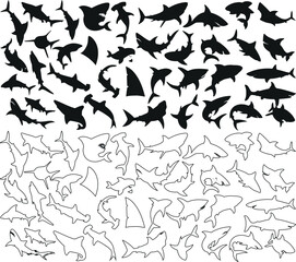 Shark silhouette and outline vector set, various shark species line art, fins, vector set, marine life, ocean predators, aquatic illustrations, wildlife
