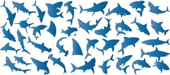 Shark  vector silhouettes in various shapes and sizes, Perfect shark clipart for marine designs, educational materials, and aquatic themed projects