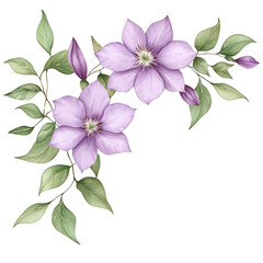 Fototapeta premium A beautiful arrangement of purple flowers with lush green leaves, perfect for adding a touch of nature to any design. transparent background