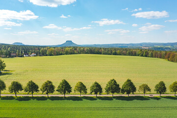 Obraz premium landscape with trees in saxon switzerland