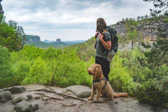 hiker with dog at overlook at falkenstein in saxon switzerland