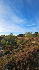 Golden Hour, Sunset Over Stanton Moor, Derbyshire, Peak District National Park, UK, Heather In Bloom, Landscape Photography