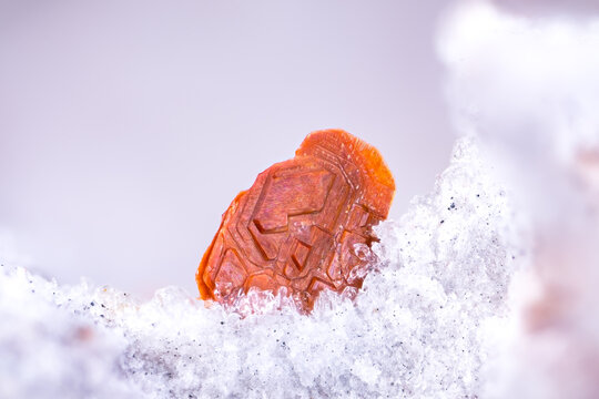 phlogopite with a nearly total replacement by red hematite. Specimen from Obsidian Cliffs, Lane County, USA. Micro extreme close-up. microscope mineral crystal photography for Scientific use.