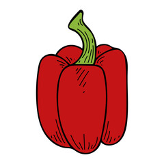 Sweet peppers flat. Harvest ripe vegetables garden. Hot spices. Sliced bell pepper. Fresh fruit. Hand drawn vector doodle illustration.