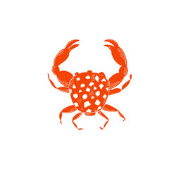 Cute red crab. Hand drawn  elements. Sea animals. Vector doodle marine life objects for your design.