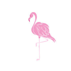 Cute hand drawn pink flamingo elements. Animals. Vector doodle for your design.