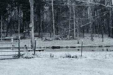 Winter Wonderland Album