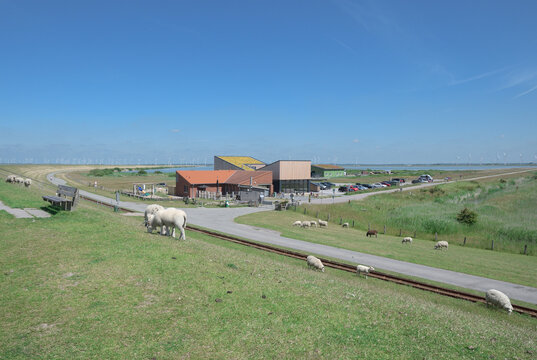 Protection Station Wattenmeer in L&uuml;ttmoorsiel,Beltringharder Koog Nature Reserve,North Sea,North Frisia,Germany