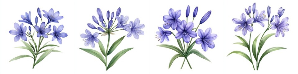 A collection of beautiful blue flowers arranged symmetrically, perfect for botanical designs and nature-themed projects.