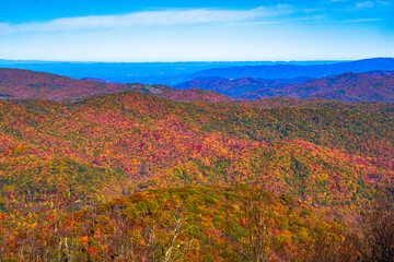 Fall colors of deciduous trees enhance the Tennessee mountain vista as seen from Roan Mountain Tennessee