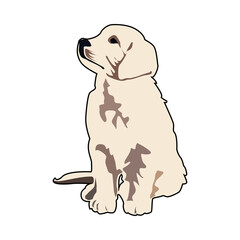 Dog illustration PNG