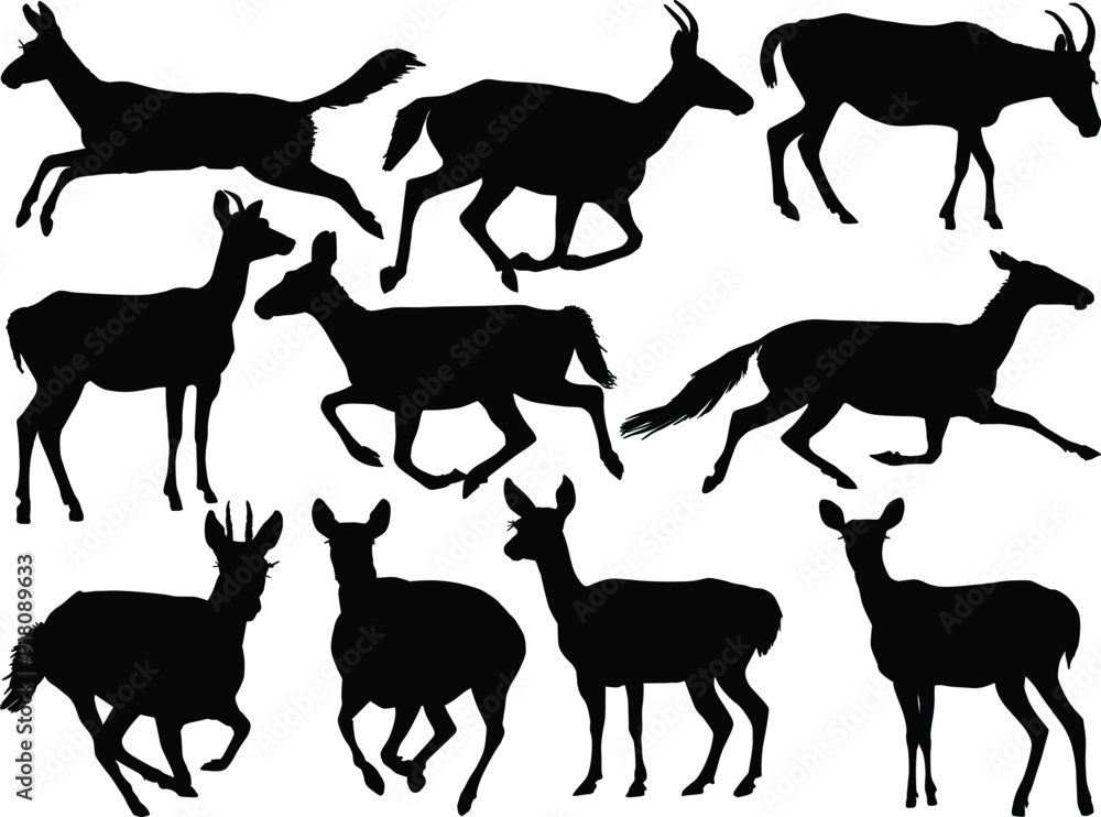 Wall mural ten antelopes set isolated on white