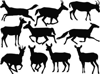 ten antelopes set isolated on white