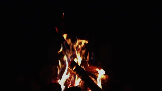 Night fire in the forest. Outdoor fire. Slow motion video.
