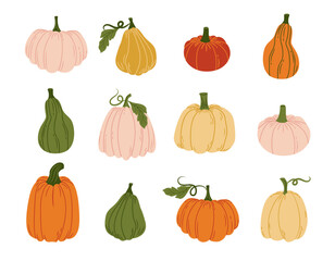 Colorful Pumpkins and Autumn Leaves. Thanksgiving Harvest Fall Pumpkin Holiday Food