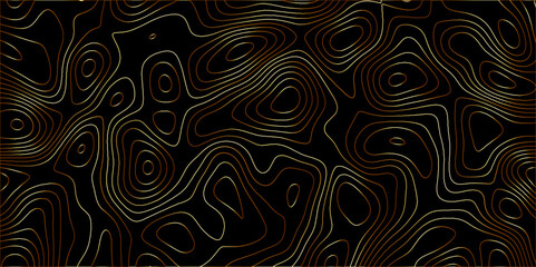 Topographic canyon geometric map relief texture with curved layers and shadow. abstract White background with a beautiful pattern, Topographic contour lines vector map seamless pattern vector.