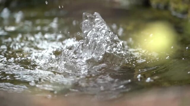 water flowing in the botanical garden with green plants and trees around, calm and relax video to destress