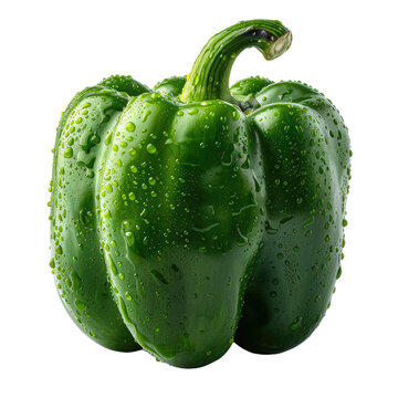 recommend clip art: green bell pepper isolated on a transparent background for web, banner, wallpaper