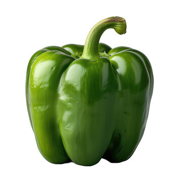 recommend clip art: green bell pepper isolated on a transparent background for web, banner, wallpaper