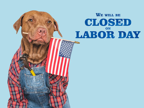 Signboard with the inscription We will be closed on Labor Day. Cute dog and hand tools. Closeup. Studio shot. Congratulations for family, loved ones, friends and colleagues. Pets care concept