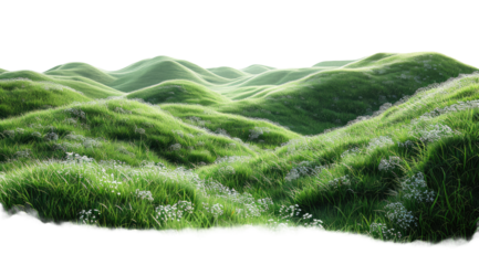Green meadow isolated on a transparent background for web, banner, wallpaper