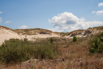 sand hills in Poland